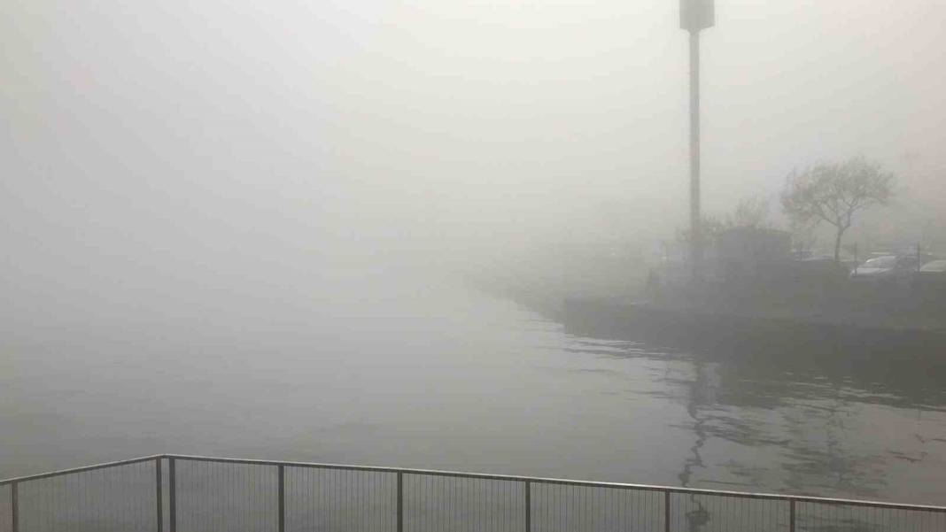 İstanbullular bu uyarıya kulak verin: Son derece riskli! Her yıl 44 bin kişi bu nedenle hayatını kaybediyor 19